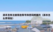 派币怎样注册钱包账号和密码呢图片（派币怎么弄钱包）