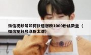 微信视频号如何快速涨粉1000粉丝数量（微信视频号涨粉太难）