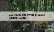 youtobe网友评论中国（youtube网友评论中国）