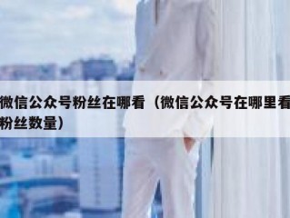 微信公众号粉丝在哪看（微信公众号在哪里看粉丝数量）