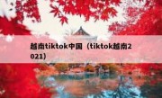 越南tiktok中国（tiktok越南2021）
