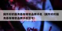 国外好的服务器有哪些品牌手机（国外好的服务器有哪些品牌手机型号）