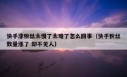 快手涨粉丝太慢了太难了怎么回事（快手粉丝数量涨了 却不见人）