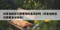 抖音加粉丝灯牌要钱吗是真的吗（抖音加粉丝灯牌要多少抖币）