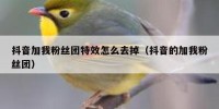 抖音加我粉丝团特效怎么去掉（抖音的加我粉丝团）