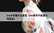 ins小号是什么意思（ins账号只能是小写英文）