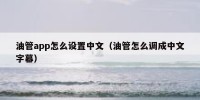 油管app怎么设置中文（油管怎么调成中文字幕）