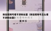 微信视频号看不到粉丝量（微信视频号怎么看不到粉丝量）