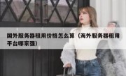 国外服务器租用价格怎么算（海外服务器租用平台哪家强）