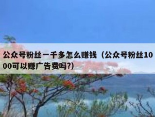 公众号粉丝一千多怎么赚钱（公众号粉丝1000可以赚广告费吗?）