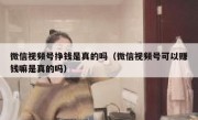 微信视频号挣钱是真的吗（微信视频号可以赚钱嘛是真的吗）