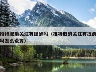 推特取消关注有提醒吗（推特取消关注有提醒吗怎么设置）