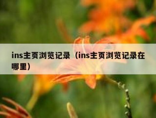 ins主页浏览记录（ins主页浏览记录在哪里）