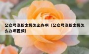 公众号涨粉太慢怎么办啊（公众号涨粉太慢怎么办啊视频）