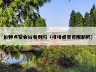 推特点赞会被看到吗（推特点赞有限制吗）