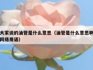 大家说的油管是什么意思（油管是什么意思啊网络用语）