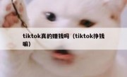 tiktok真的赚钱吗（tiktok挣钱嘛）