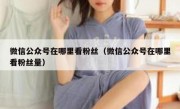 微信公众号在哪里看粉丝（微信公众号在哪里看粉丝量）