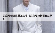 公众号粉丝数量怎么看（公众号如何看粉丝数）