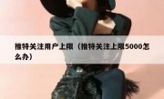 推特关注用户上限（推特关注上限5000怎么办）