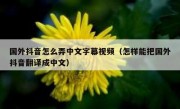 国外抖音怎么弄中文字幕视频（怎样能把国外抖音翻译成中文）