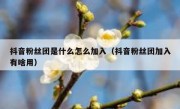抖音粉丝团是什么怎么加入（抖音粉丝团加入有啥用）