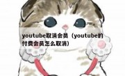 youtube取消会员（youtube的付费会员怎么取消）