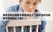 派币怎样注册账号和密码忘了（派币怎样注册账号和密码忘了呢）