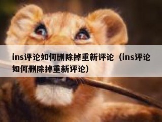 ins评论如何删除掉重新评论（ins评论如何删除掉重新评论）