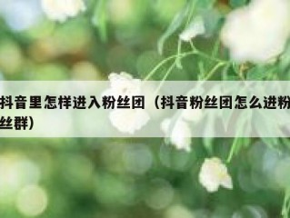 抖音里怎样进入粉丝团（抖音粉丝团怎么进粉丝群）