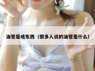 油管是啥东西（很多人说的油管是什么）