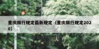 重庆限行规定最新规定（重庆限行规定2020）