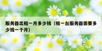 服务器出租一月多少钱（租一台服务器需要多少钱一个月）