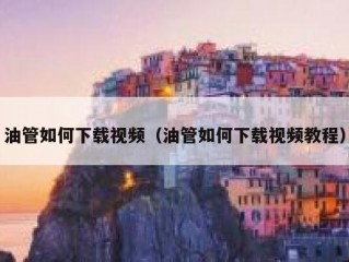 油管如何下载视频（油管如何下载视频教程）