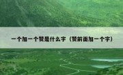 一个加一个赞是什么字（赞前面加一个字）