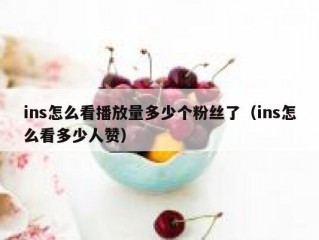 ins怎么看播放量多少个粉丝了（ins怎么看多少人赞）