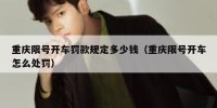 重庆限号开车罚款规定多少钱（重庆限号开车怎么处罚）