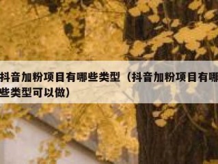 抖音加粉项目有哪些类型（抖音加粉项目有哪些类型可以做）
