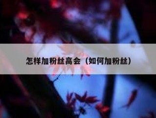 怎样加粉丝高会（如何加粉丝）
