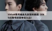 tiktok账号被永久封禁的原因（tiktok账号封禁申诉入口）