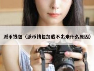 派币钱包（派币钱包加载不出来什么原因）