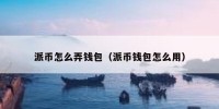 派币怎么弄钱包（派币钱包怎么用）