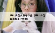 tiktok怎么发布作品（tiktok怎么发布不了作品）