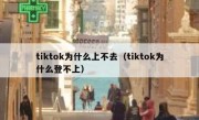 tiktok为什么上不去（tiktok为什么登不上）