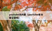 youtube访问量（youtube有访客记录吗）