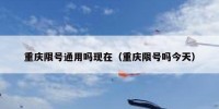 重庆限号通用吗现在（重庆限号吗今天）