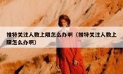 推特关注人数上限怎么办啊（推特关注人数上限怎么办啊）