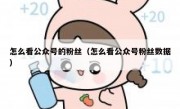 怎么看公众号的粉丝（怎么看公众号粉丝数据）