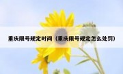 重庆限号规定时间（重庆限号规定怎么处罚）