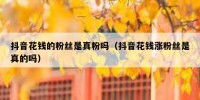 抖音花钱的粉丝是真粉吗（抖音花钱涨粉丝是真的吗）